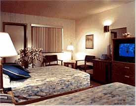  Hotel  Room